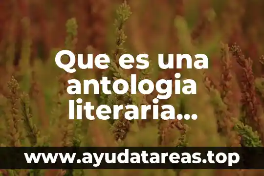 Qué es la antología de un cuento 4 Que es una antologia literaria electronica