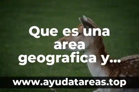 Vídeo sobre lo que es la representación geográfica 4 Que es una area geografica y cultura