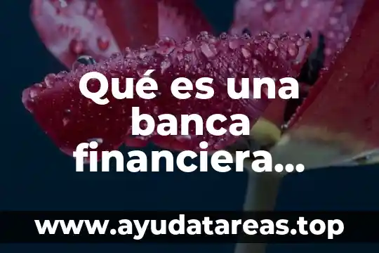 Qué es una banca financiera definición
