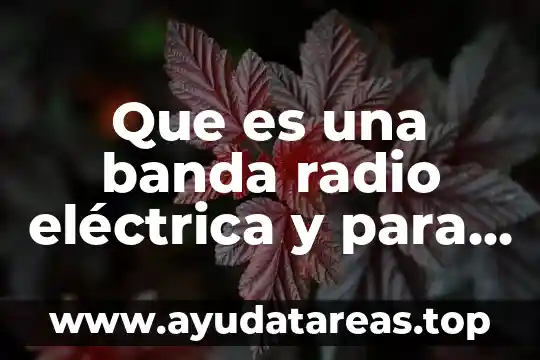 Que es una banda transportadora y tipos 3 Que es una banda radio eléctrica y para que sirve