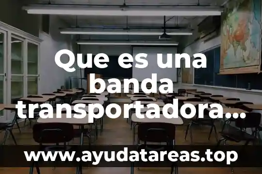 Que es el banda base 6 Que es una banda transportadora y tipos