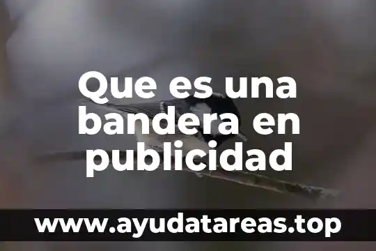 Que es la publicidad de btl 3 Que es una bandera en publicidad