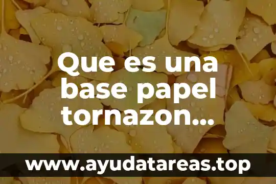 Que es una base papel tornazon rosado a rojo