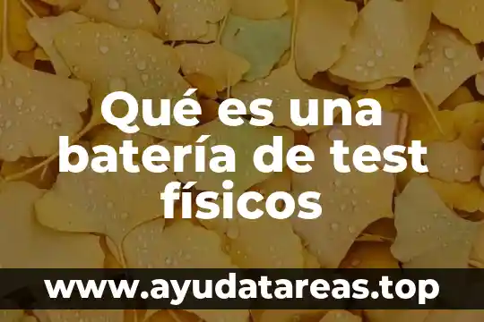 Qué es una batería de test físicos
