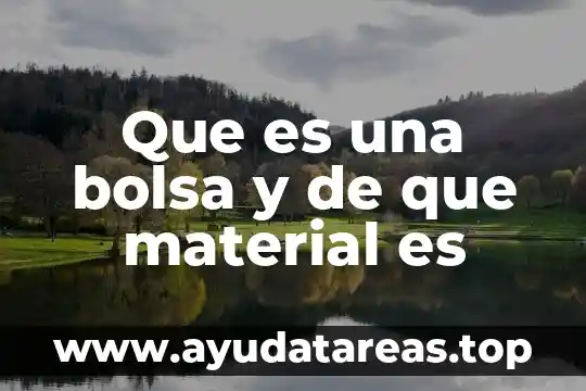 Que es una bolsa y de que material es