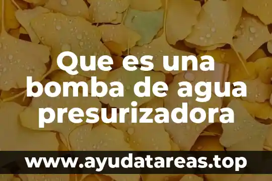 Qué es propela bomba de agua 8 Que es una bomba de agua presurizadora