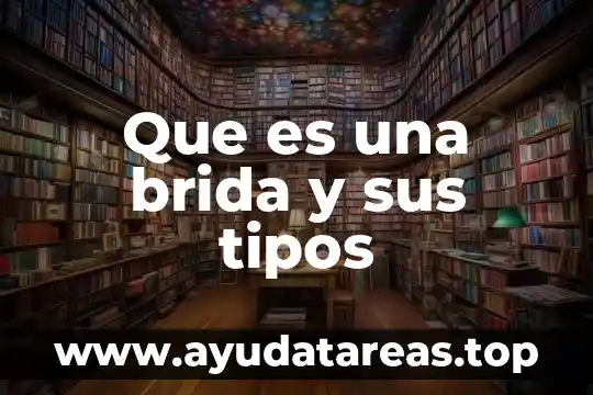 Qué es el examen de ácido valproico 8 Que es una brida y sus tipos