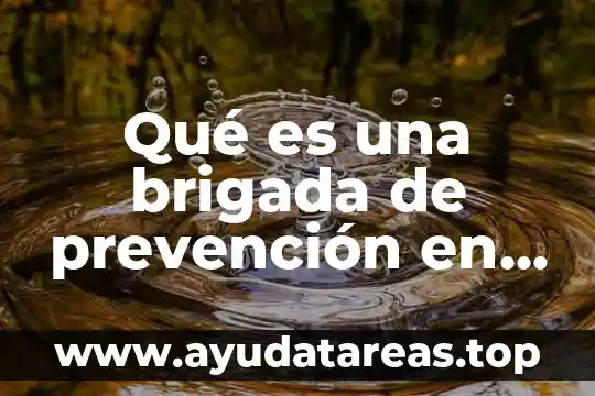 Que es la violencia psicoemocional 6 Qué es una brigada de prevención en violencia