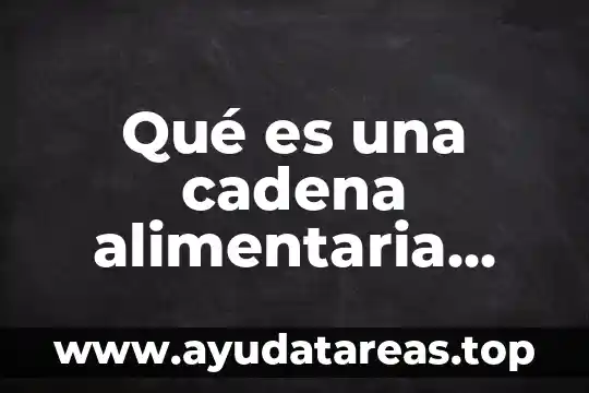 Qué es una cadena alimentaria definición corta