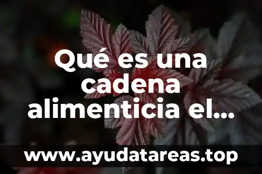 Que es el ambiente de trabajo atractivo 8 Qué es una cadena alimenticia el ser humano contamina el ambiente