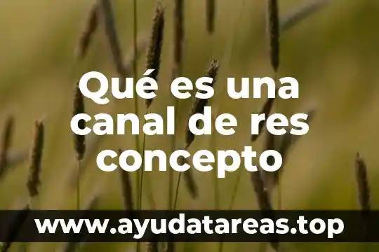 Qué es una canal de res concepto