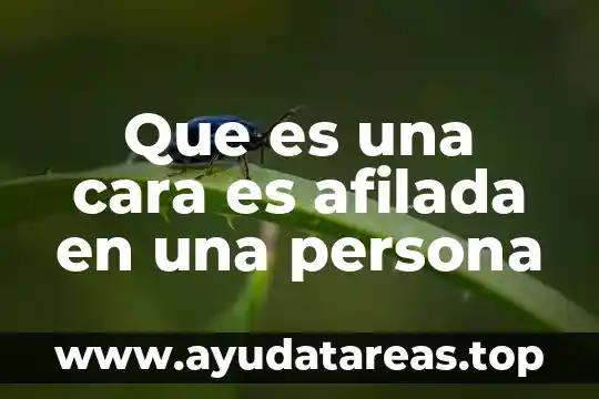Qué es más cara el aluminio o la madera 4 Que es una cara es afilada en una persona