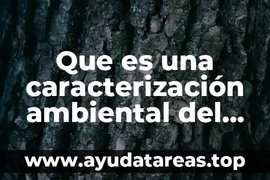 Que es una caracterización ambiental del sistema ambiental