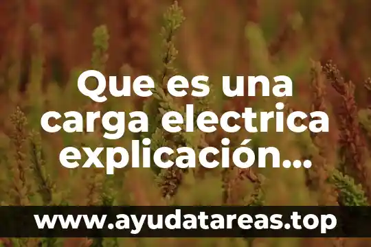 Que es el monismo en derecho internacional publico 7 Que es una carga electrica explicación para niños