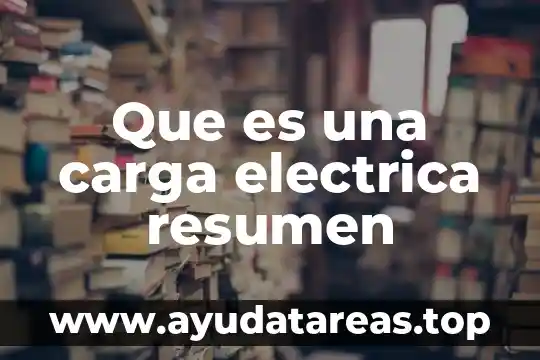 Que es una carga electrica resumen