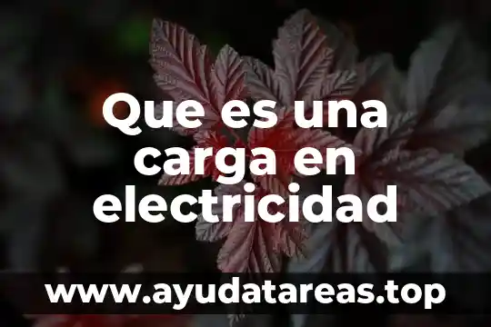 Que es una carga en electricidad