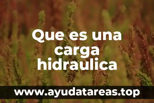 Que es una carga hidraulica