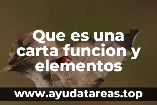 ¿Qué es la OPS y su función? 7 Que es una carta funcion y elementos