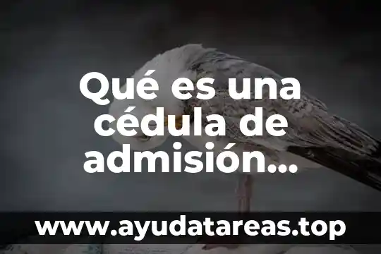 Que es un cedula medica tipo c1 5 Qué es una cédula de admisión definición