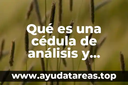 Que es un cedula medica tipo c1 3 Qué es una cédula de análisis y descripción de puestos
