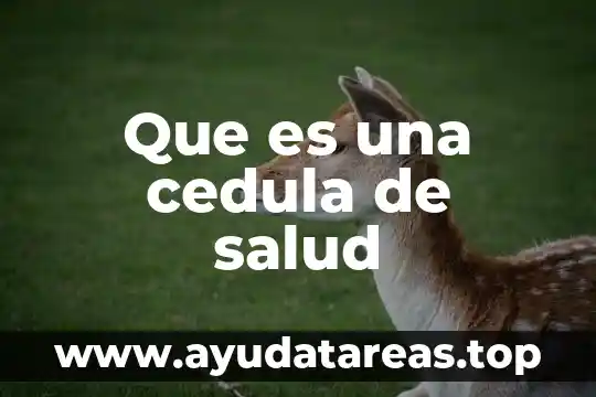 Que es un cedula medica tipo c1 4 Que es una cedula de salud