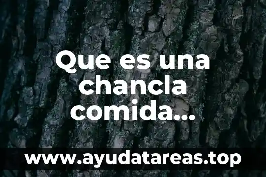 Agua de orchata que es 4 Que es una chancla comida mexicana