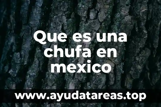 Que es una chufa en mexico