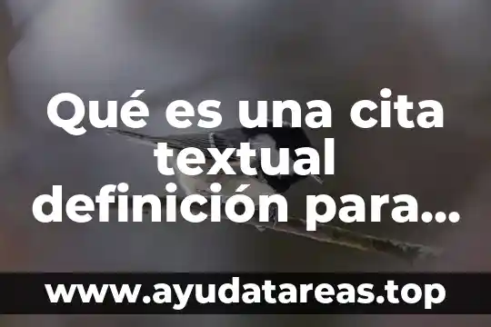 Qué es una cita textual definición para niños