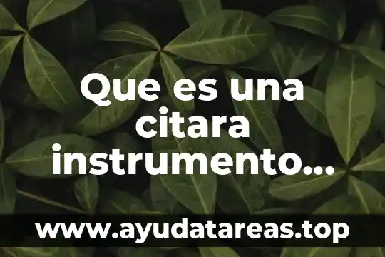 Que es una citara instrumento musical