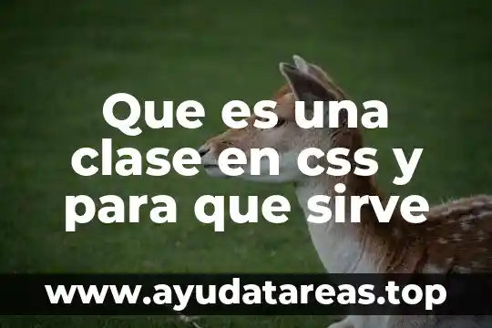 Que es mayéutica socratica para que nos sirve 4 Que es una clase en css y para que sirve