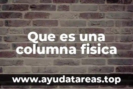 Que es doble columna en educacion fisica 5 Que es una columna fisica