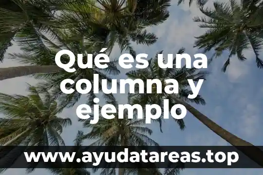Que es doble columna en educacion fisica 7 Qué es una columna y ejemplo