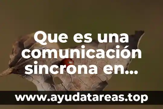 Que es re significado informatica 6 Que es una comunicación sincrona en informatica