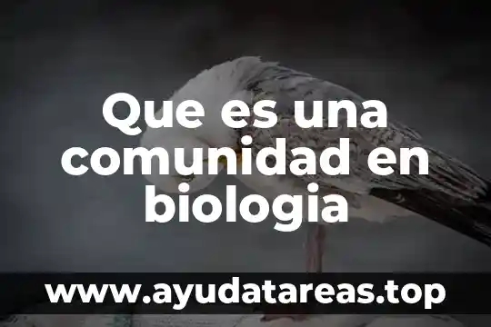 Que es una comunidad en biologia