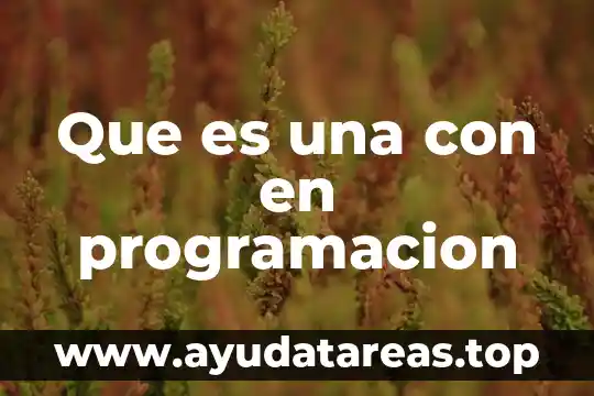 Que es una con en programacion