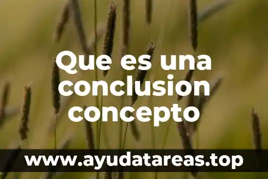 Que es una conclusion concepto