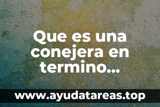 Que es un ataque quimico en termino de metalografia 7 Que es una conejera en termino medico