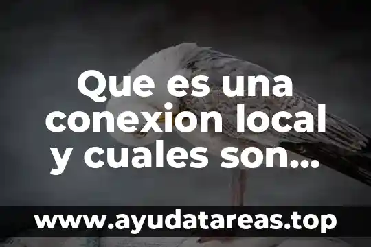 Que es una conexion local y cuales son sus ventajas