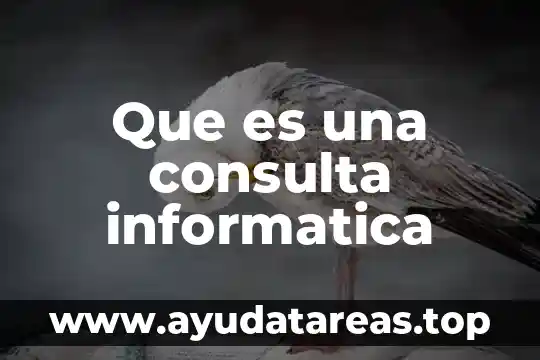 Que es tipologuias significado 3 Que es una consulta informatica