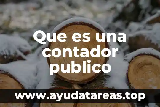 Qué es un servidor un servidor público municipal 6 Que es una contador publico