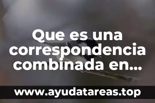 Que es una correspondencia combinada en word