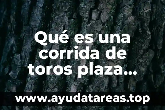 Qué es una corrida de toros plaza México