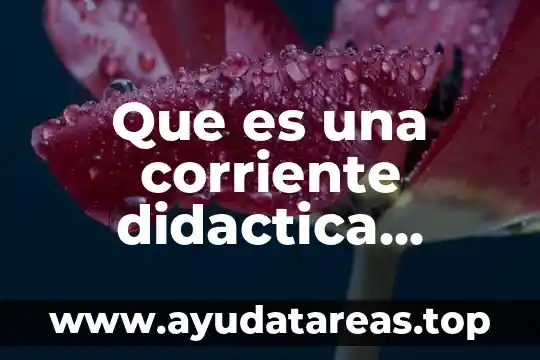 Que es una corriente didactica social