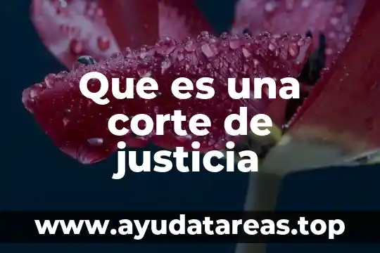 Que es una corte de justicia