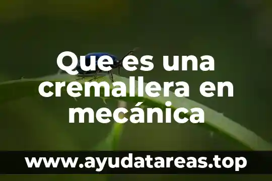 Qué es el concepto de mecánica 5 Que es una cremallera en mecánica