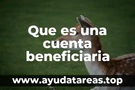 Qué es legalidad definición 4 Que es una cuenta beneficiaria