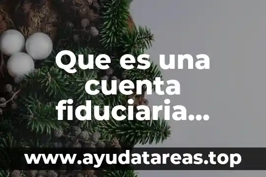 Que es un concepto en una transferencia bancaria 3 Que es una cuenta fiduciaria bancaria