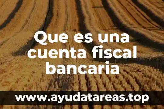 Que es una cuenta fiscal bancaria