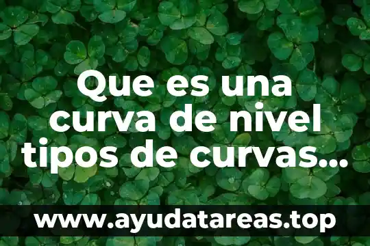 Que es una curva de funcionamiento 5 Que es una curva de nivel tipos de curvas maestra