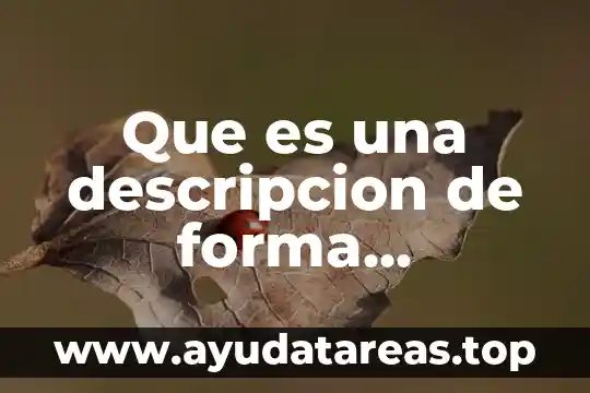 Que es una descripcion de forma indirecta